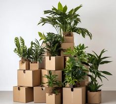 a pile of cardboard boxes with plants in them