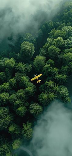 an aerial view of a plane flying over the trees and foggy forest floor below