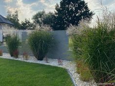 a house that is next to some grass and bushes in front of the fenced yard