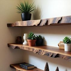 three wooden shelves with plants and books on them