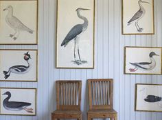 two wooden chairs sitting next to each other in front of framed pictures on the wall