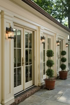 a row of potted plants sitting on the side of a building next to windows