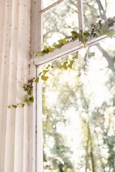 an open window with ivy growing on it's side and sunlight coming through the window