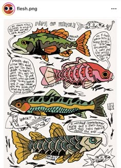 an image of fish in different colors and sizes