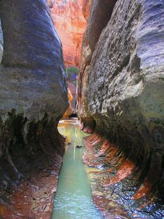 a narrow canyon with water running through it