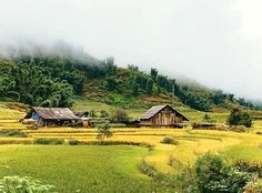 a green field with houses on it and mountains in the background, surrounded by trees