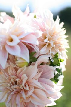 a bouquet of pink flowers with green leaves