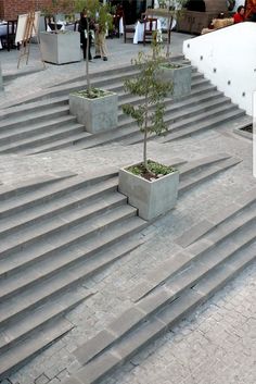 there is a small tree in the middle of some concrete steps that are lined with planters