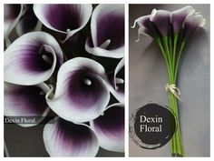 purple and white flowers with the words dexin floral