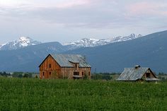 two barns in a field with mountains in the background