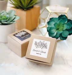 two small boxes sitting on top of a table next to succulents and potted plants