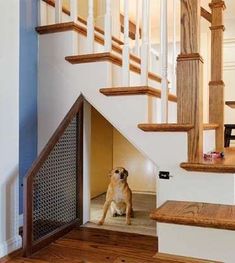 a dog is sitting on the floor in front of an open door at the bottom of stairs