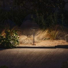 a lamp in the middle of a garden at night