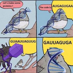 a comic strip with an image of a bird and a genenaplast on it