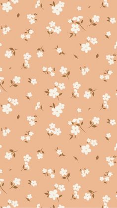 an orange background with white flowers and leaves on the bottom right corner is a light pink wallpaper