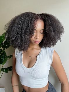 Type 4 Fro, Healthy Black Hair, Hair Lifestyle, Poofy Hair, 4b Hair, Dyed Natural Hair