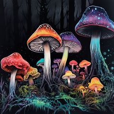 three different colored mushrooms in the forest