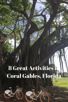 three bikes parked under a large tree with the words 8 great activities in coral gardens, florida