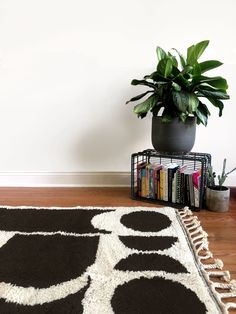 a potted plant sitting on top of a rug next to a bookshelf