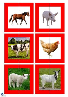 four squares with pictures of animals and farm animals