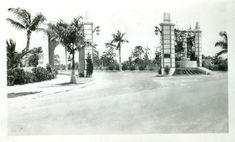 an old black and white photo of a street with palm trees in the foreground