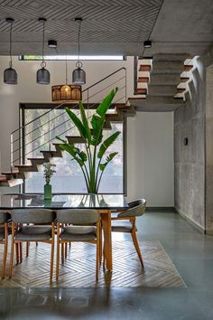 a dining room table with chairs and a potted plant