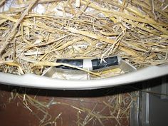 a toothbrush sitting on top of a white plate covered in dry grass and straw