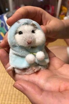 a person holding a small toy hamster in their hand and wearing a blue coat