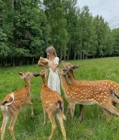 Lifestyle Content Creator, Lifestyle Content, June 19, Content Creator, Deer, Lifestyle, Animals, On Instagram, Instagram