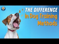 a dog with its mouth open and the words, the difference in dog training method