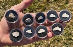 a hand holding several small rocks in plastic cups