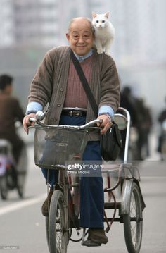 an old man riding a bicycle with a cat on the back