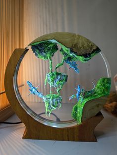 a glass plate with some green plants in it on top of a wooden stand next to a window