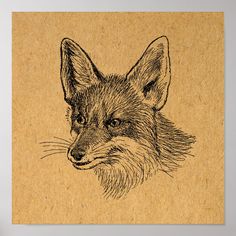 a drawing of a fox on brown paper