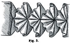 an image of some sort of object that is in the shape of a flower, vintage line drawing or engraving