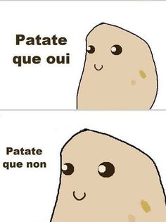 an image of two potatoes with captioning that reads patate que oui patate que nom