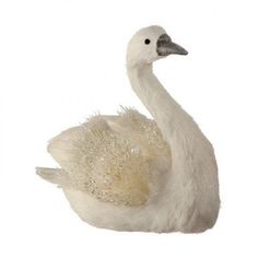 a white swan is sitting on the ground with its head turned to the side and it's feathers splayed