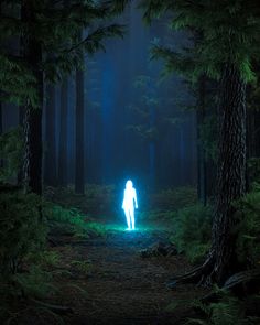 a person standing in the middle of a forest with blue light coming from their body