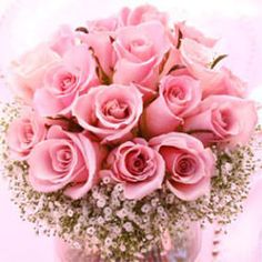 a vase filled with pink roses on top of a table