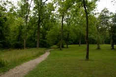 a dirt path in the middle of a grassy area with trees and grass on both sides