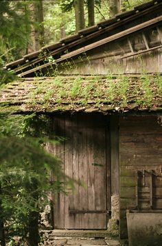 an old wooden cabin in the woods with moss growing on it's roof and door