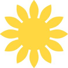 a yellow sunflower on a white background is shown in the shape of a circle