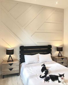 two black and white cats laying on top of a bed