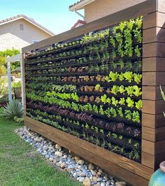 a vertical garden wall with plants growing on it