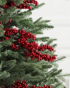 a close up of a christmas tree with red berries