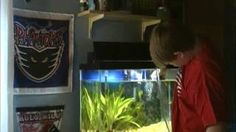 a young boy looking at an aquarium in his living room