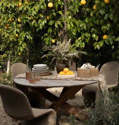 an outdoor table with plates and bowls on it in the middle of a garden surrounded by lemon trees