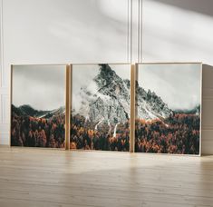 three framed pictures with mountains in the background on a wooden floor next to a white wall