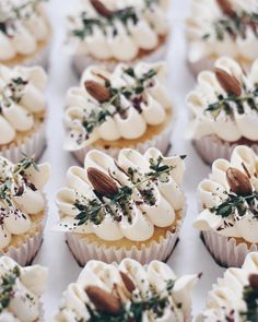 many cupcakes with white frosting and toppings