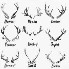 the different types of deer antlers are shown